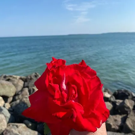 Апартаменти Sea View On The Sunny Светий Влас