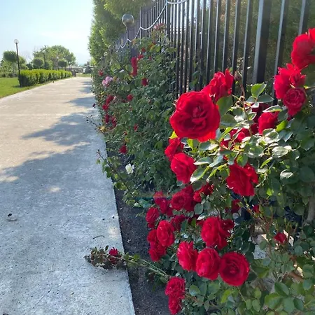 Sea View On The Sunny *