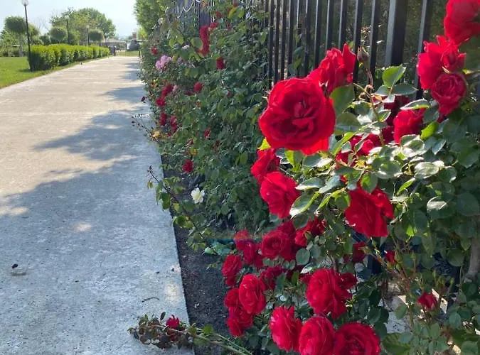 Sea View On The Sunny *