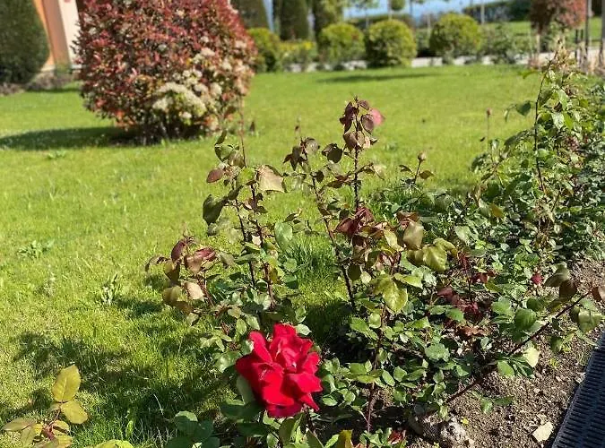 Sea View On The Sunny Apartmán Sveti Vlas