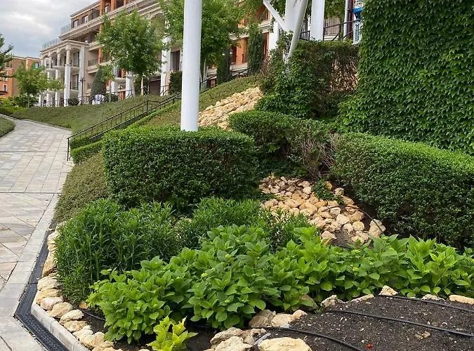 Sea View On The Sunny *