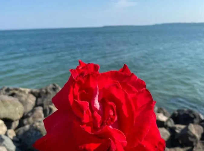 Apartmán Sea View On The Sunny Sveti Vlas